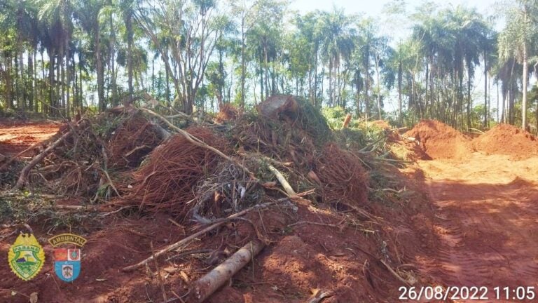 Duas pessoas são presas por derrubar mata nativa na região; multa chega a R$ 294 mil