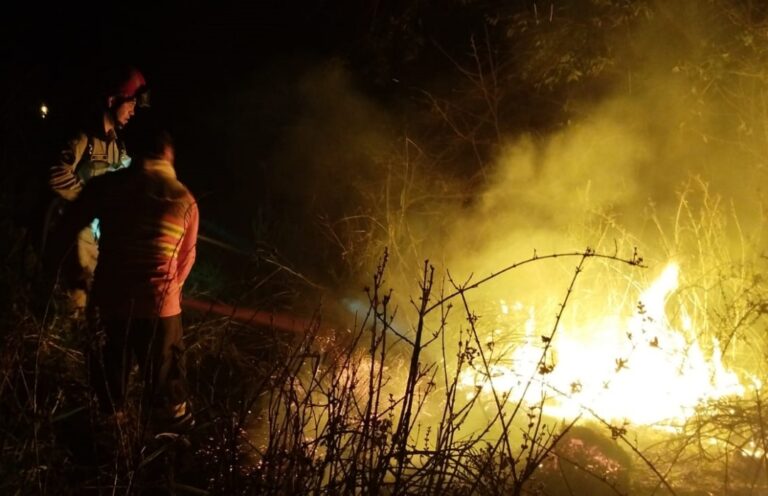 Incêndio destrói 5 alqueires de pastagem e centenas de eucaliptos em Douradina