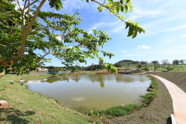 9 de outubro: Lago Tucuruvi terá torneio de pesca infantojuvenil na semana da criança