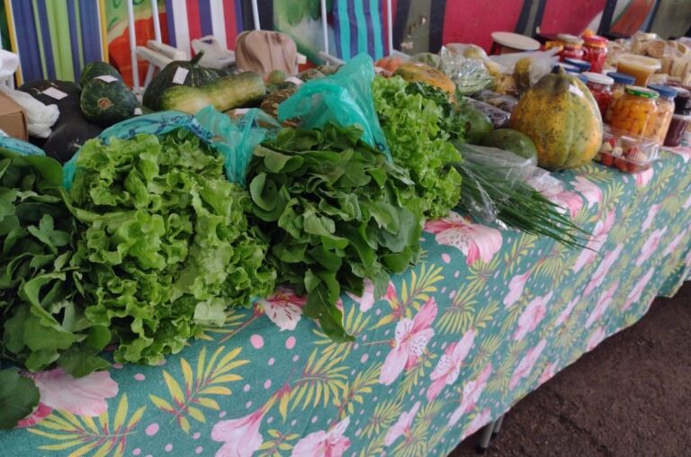Feira Faisca terá várias atrações artísticas e venda de produtos agroecológicos