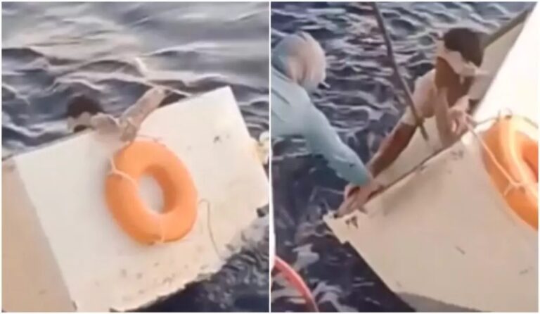 Náufrago: Brasileiro é resgatado após passar 11 dias à deriva dentro de geladeira