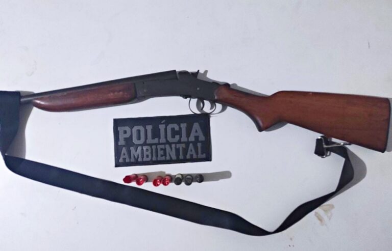 Caça: Polícia Ambiental apreende espingarda e munições em área de preservação do Rio 215