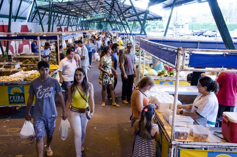 Feira do Produtor acontece normalmente no feriado de 7 de Setembro em Umuarama