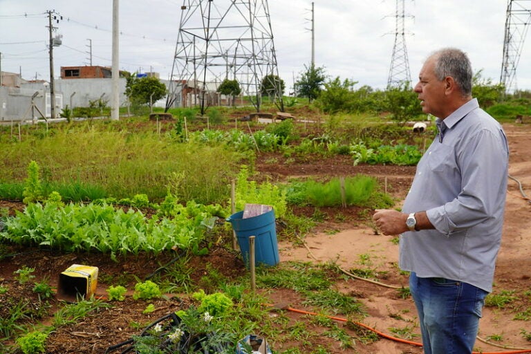 Horta comunitária implantada no Jardim São Cristóvão começa a produzir primeiros frutos