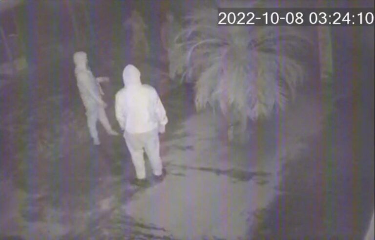 Vídeos mostram bandidos invadindo e furtando garapeira na rodovia PR-323, em Iporã