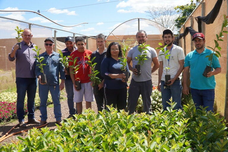 Pequenos produtores rurais de Umuarama recebem mudas de goiaba no Programa + Frutas