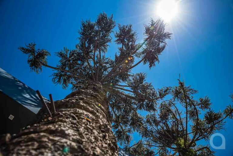 Umuaramenses podem esperar final de semana ensolarado e com temperatura agradável