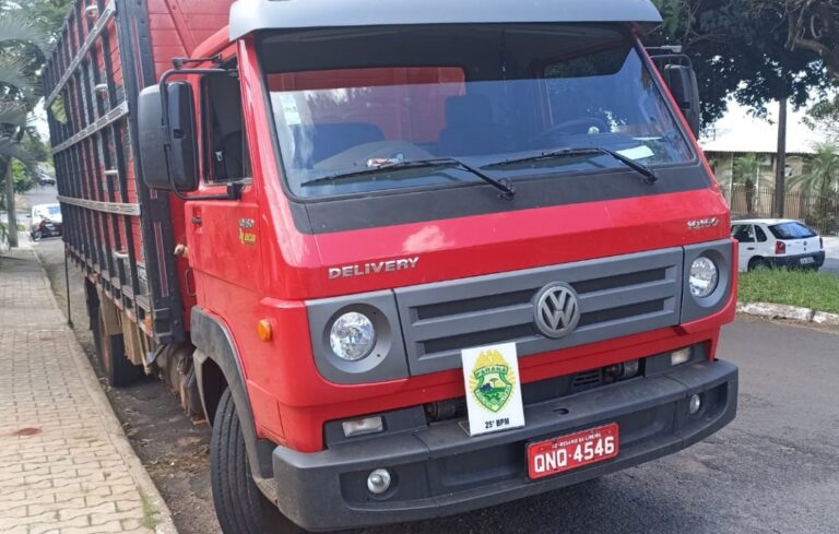 PM apreende caminhão com sinais identificadores adulterados em Pérola