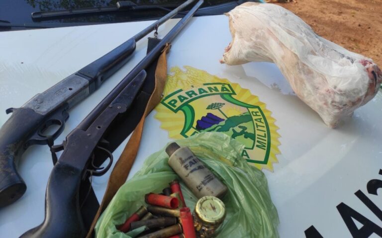 Polícia Ambiental apreende armas, aves nativas e encontra paca congelada em Iporã