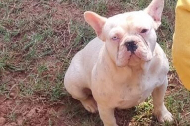 Jade é encontrada em Umuarama e volta para sua família em Maria Helena