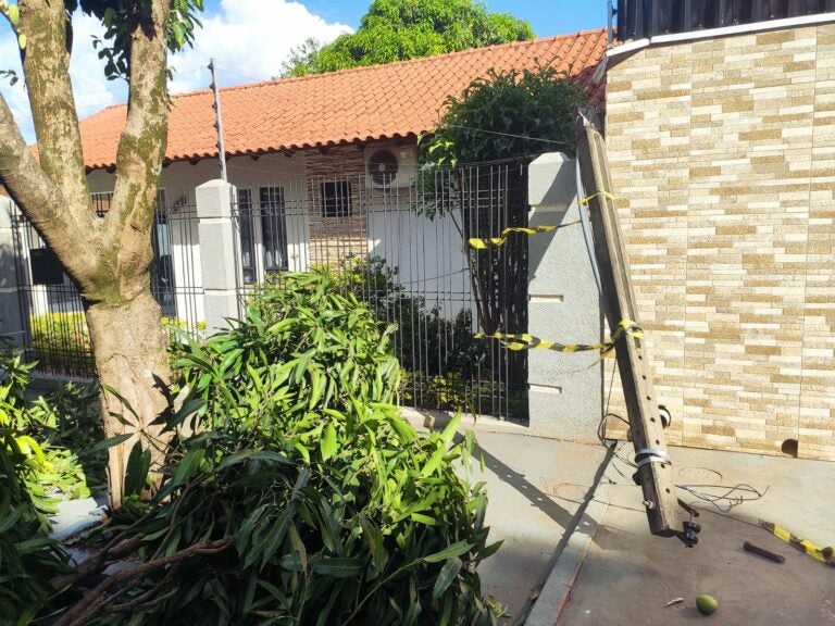 Parque Danielle: Caminhão quebra galhos de árvore, derruba poste e fica danificado