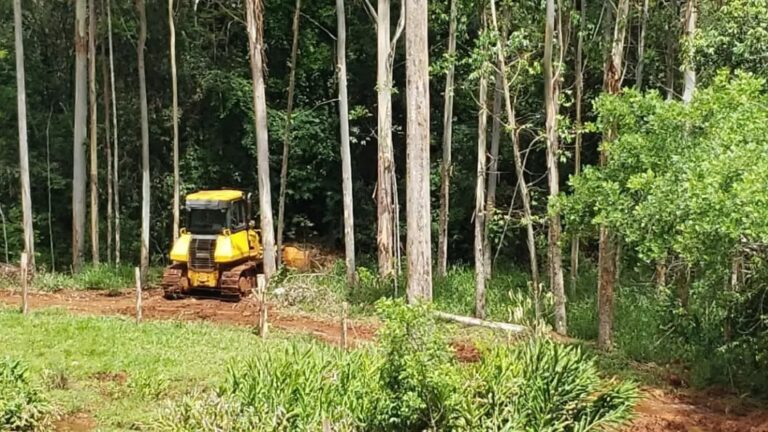Operação da Polícia Ambiental soma mais de R$ 800 mil em multas e apreensões na região