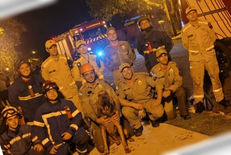 Adolescente inconsciente é localizado pelo cachorro dos bombeiros em parque de Cianorte