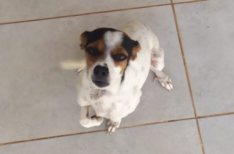 Ted é encontrado cerca de uma hora após reportagem de OBemdito