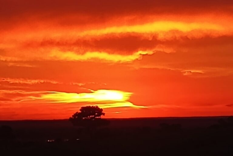 Verão terá dias muito quentes, máximas acima de 30°C e chuvas intensas no Paraná