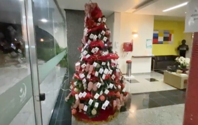 Hospital Cemil enfeita árvore de Natal com fotos dos funcionários