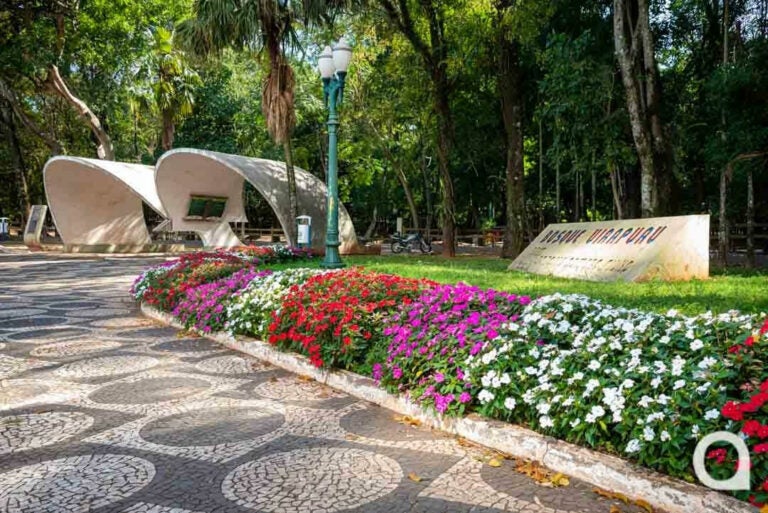 Canteiros floridos o ano todo dão um toque a mais de cores e alegria a Umuarama