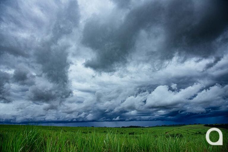 Chuva volta e deve permanecer em Umuarama até domingo