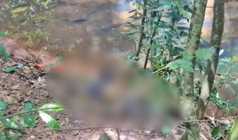 Pessoas encontram corpo em decomposição ao lado de riacho em Alto Piquiri