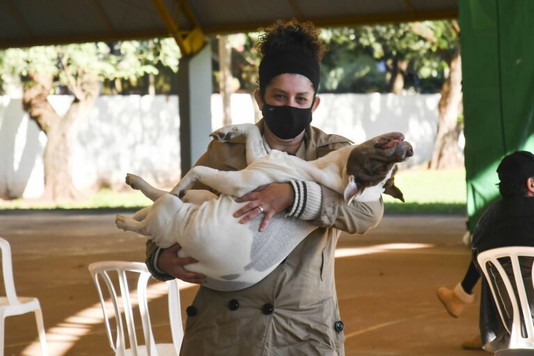 Etapa do Castrapet em Umuarama abre mais vagas para cadastro de cães e gatos machos