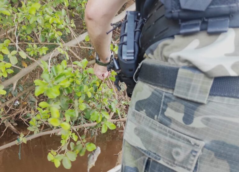 Polícia Ambiental de Umuarama intensifica fiscalização de pesca irregular nos rios Paraná e Ivaí