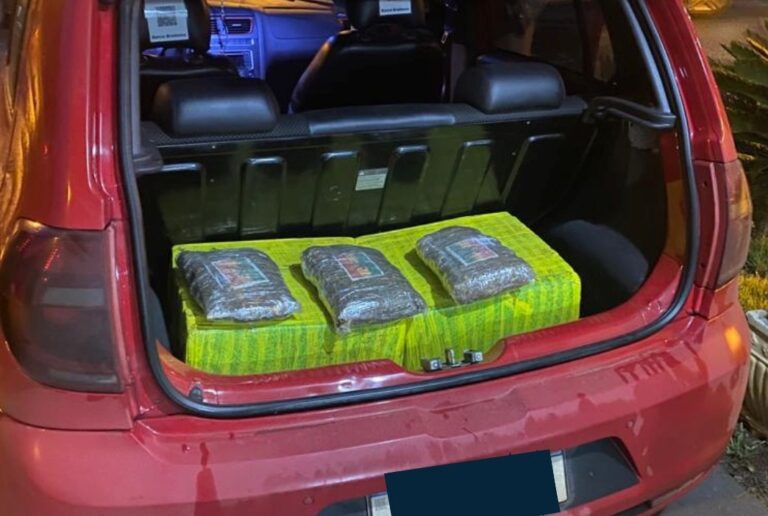 PRE apreende 90 quilos de maconha hidropônica durante abordagem na PR-323