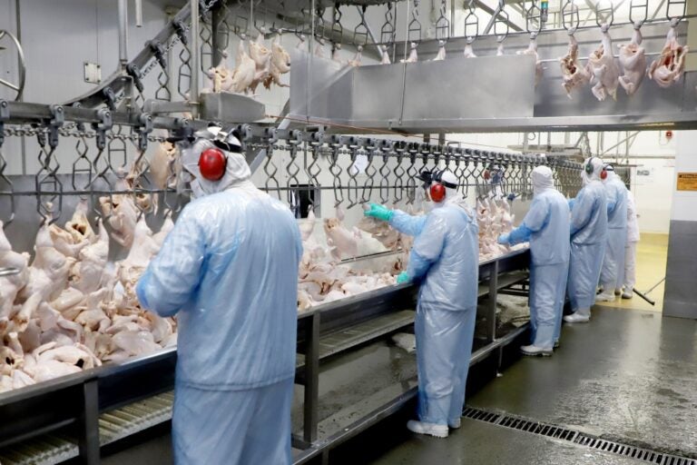 Puxadas por carne de frango, exportações do Paraná crescem 6,1% em janeiro de 2023