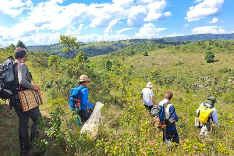 Expedição percorre nove municípios do Paraná e encontra três plantas ameaçadas de extinção