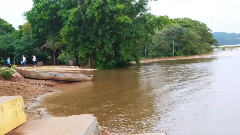 Após grande cheia, nível da água do Rio Paraná começa a baixar nesta sexta-feira
