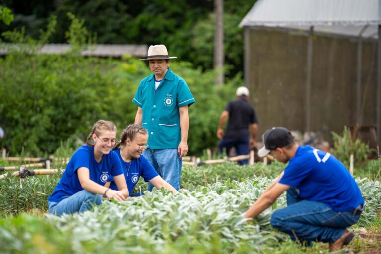 Estado aumenta aquisição de alimentos orgânicos para merenda e ensina prática nas escolas