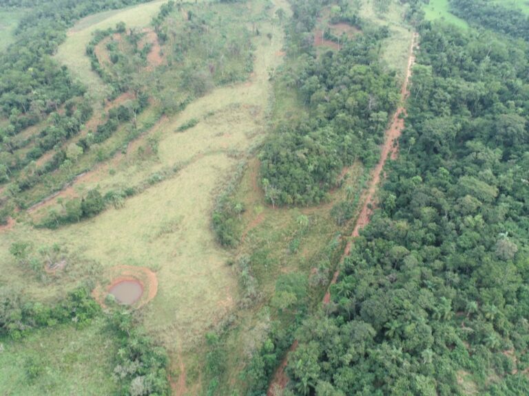 Polícia Ambiental de Umuarama aplica multa de R$ 168 mil após constatar desmatamento