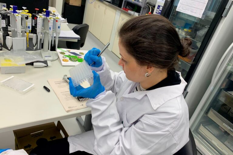 Estudo aponta que chikungunya em circulação no Paraná tem origem outras regiões do Brasil