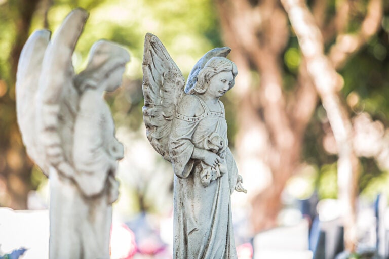 Laudo atesta que criança encontrada morta no Parque Tarumã não foi vítima de agressão