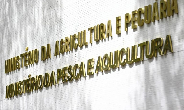 Gripe aviária: Aumento de casos em aves silvestres leva Paraná a decretar emergência zoossanitária