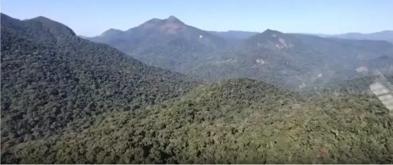 Terceiro dia de buscas termina sem vestígios do avião desaparecido; sentimento é de desespero