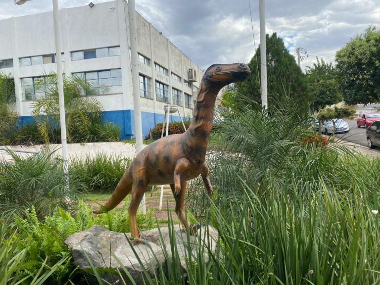 Dinossauro que ‘desapareceu’ em Cruzeiro do Oeste é visto em cidades da região