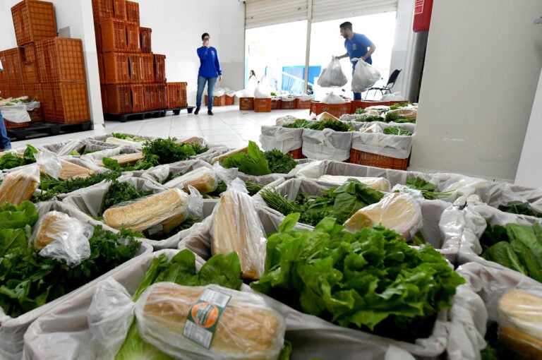 Umuarama: Banco de Alimentos distribui mais de 1 mil cestas verdes a famílias cadastradas