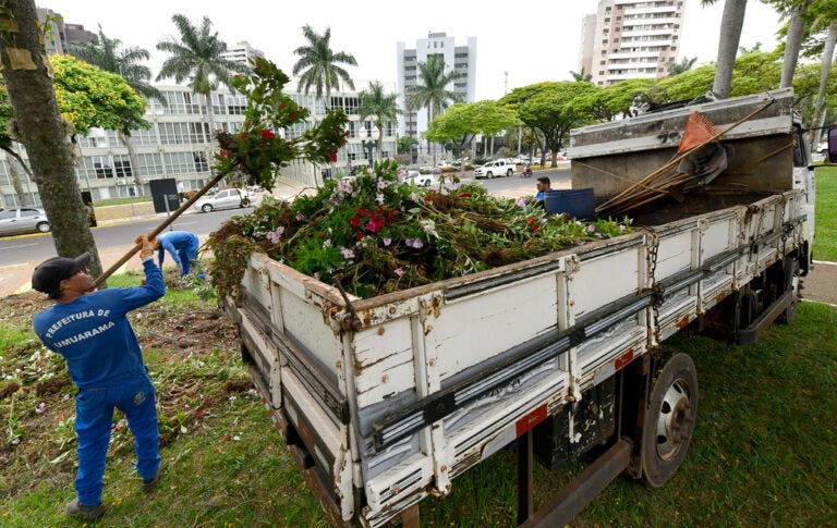 Prefeitura de Umuarama inicia renovação de canteiros de flores visando às festas de fim de ano