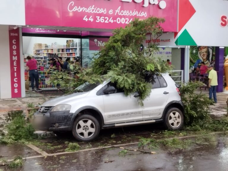Galho cai sobre carro que estava estacionado na avenida Paraná, centro de Umuarama