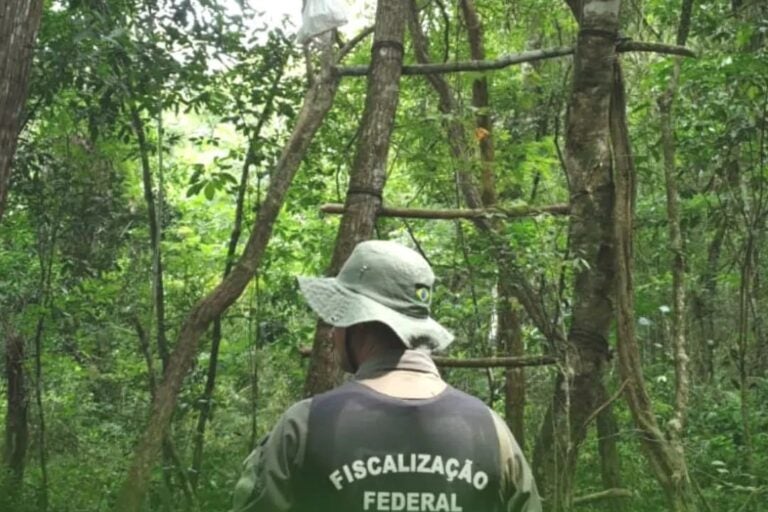 Polícia Ambiental e ICMBio encontram estruturas para caça na Reserva Biológica das Perobas