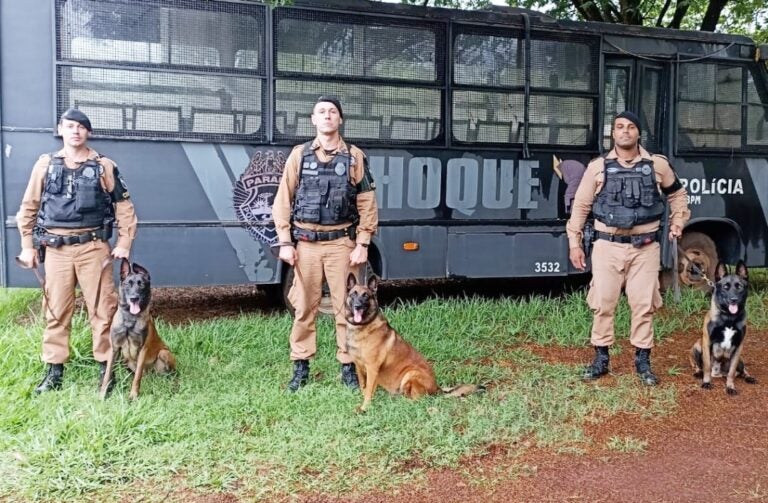 Três cães do 25º Batalhão da Polícia Militar de Umuarama recebem certificação