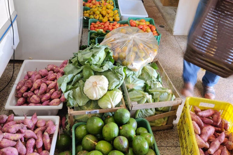 Prazo para adesão ao edital do Compra Direta Paraná é prorrogado até quarta-feira