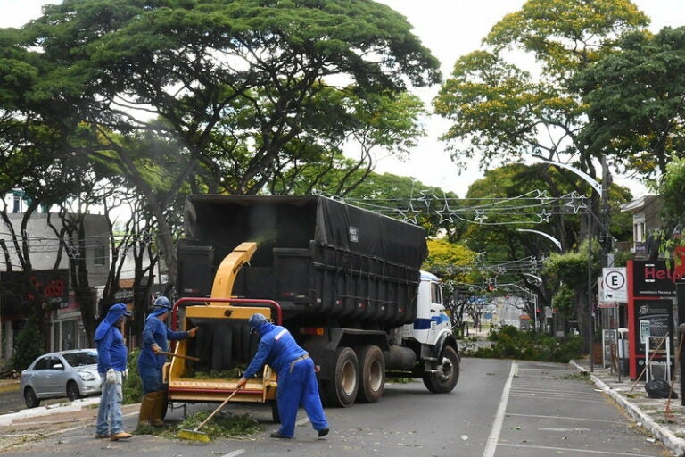 Prefeitura inicia megaoperação para poda de árvores da área central da cidade