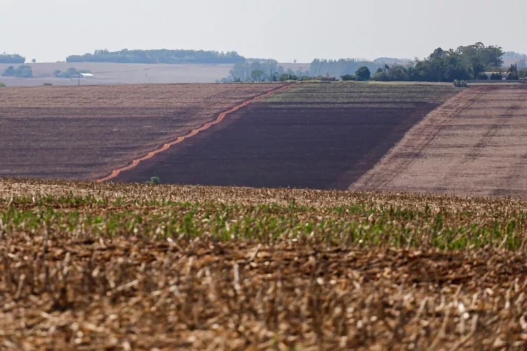 Condições climáticas impactam as principais regiões produtoras de grãos