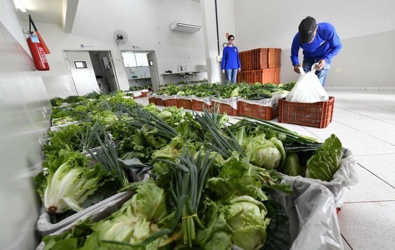 Banco de Alimentos repassou mais de 11 toneladas de produtos às famílias cadastradas