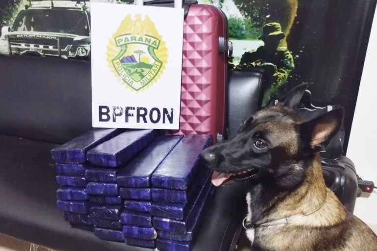 Cruzeiro do Oeste: BPFron prende passageira de ônibus com 20,6 quilos de maconha na bagagem