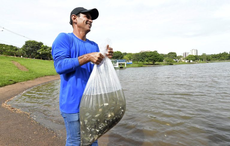 Projeto promove a soltura de 12 mil alevinos de piauçu, curimba e lambari no Lago Aratimbó