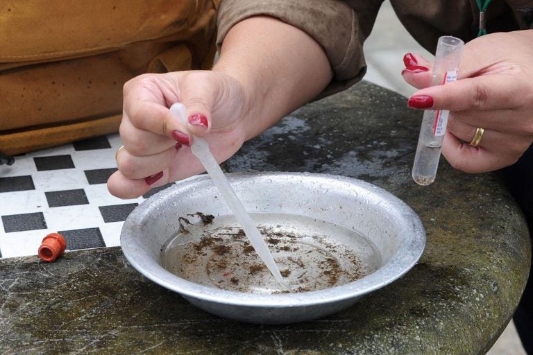 Paraná registra mais 7 mortes por dengue; Regional de Umuarama tem 2.583 casos