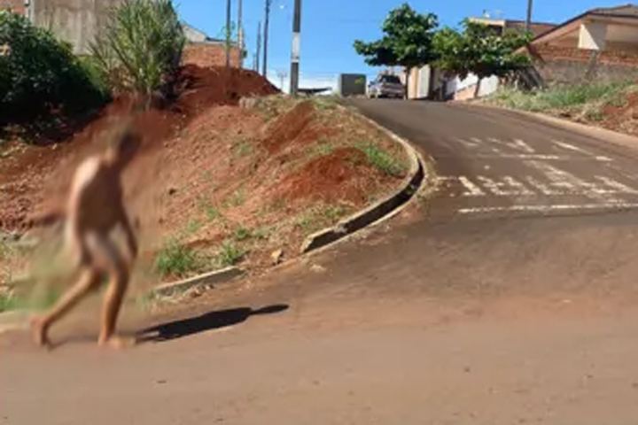 Homem é flagrado andando pelado por ruas de cidade do Paraná