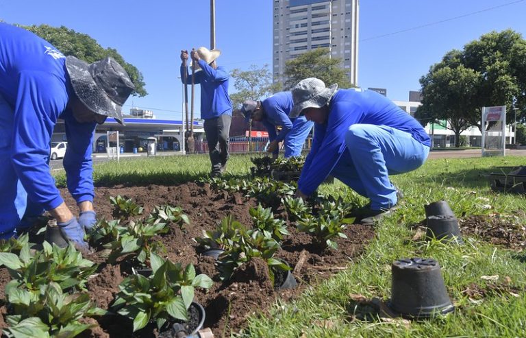 Umuarama: Praças e canteiros serão revitalizados com plantio de 18 mil mudas de flores